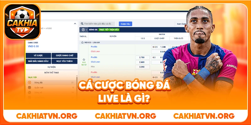 Cá cược bóng đá live là gì?